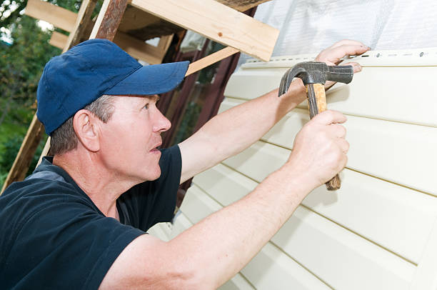 Best Stone Veneer Siding  in Denmark, SC