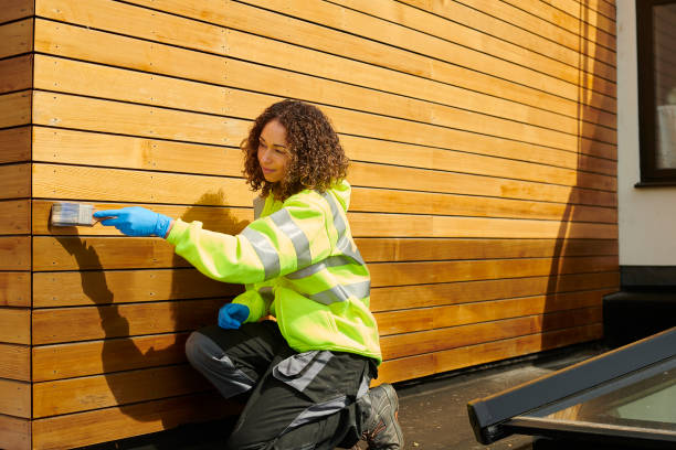 Affordable Siding Repair and Maintenance Services in Denmark, SC