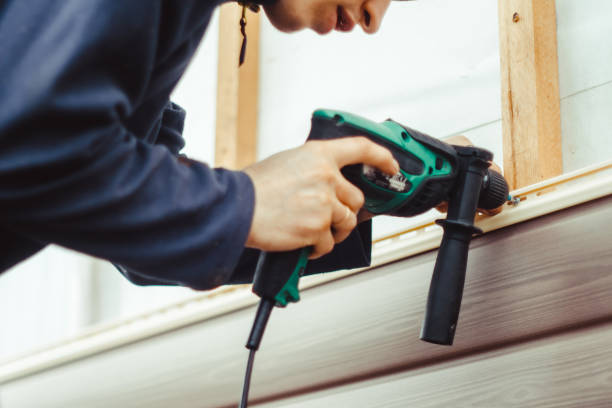 Best Vinyl Siding Installation  in Denmark, SC